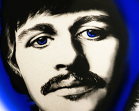 I'm A Beatle - Get Me Out Of Here!!
